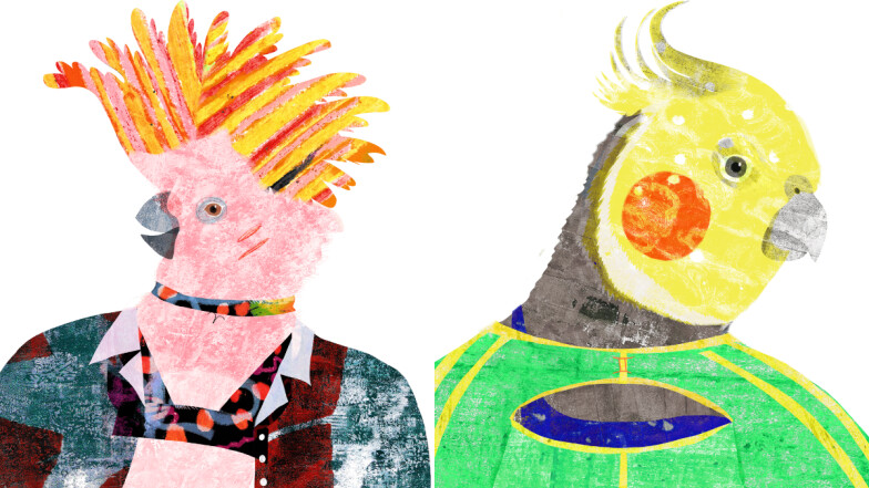 《美麗佳人》2025十月星座運勢:牡羊易把自信與自私混為一談,雙子與他人產生價值觀衝突