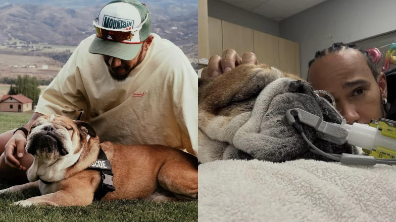 Lewis Hamilton愛犬Roscoe離世!IG發文悲痛告別:擁有他是我人生中最美好的部分