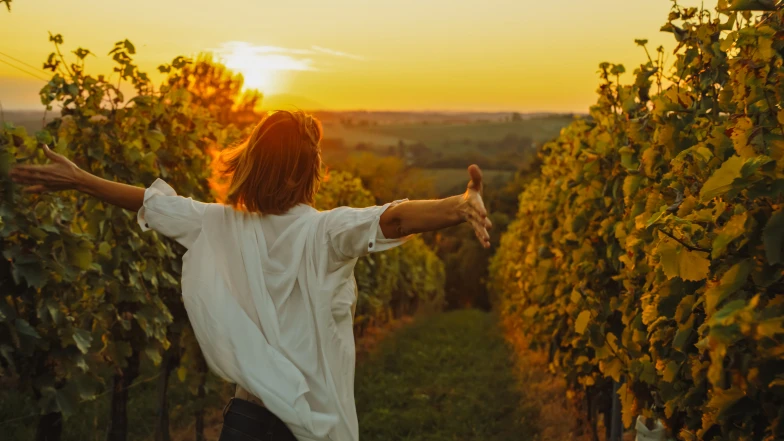 生命靈數｜4號人天生建造者卻被安全感困住，破解「永遠不夠好」的焦慮