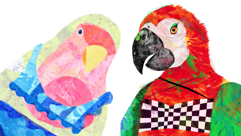 《美麗佳人》2025十一月星座運勢：「六星逆行」不適合貿然推進新計畫，卻是修正方向的良機