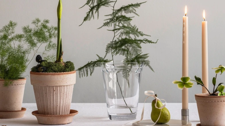 2025聖誕禮物推薦｜不知道送什麼？這些精選香氛、家飾、居家好物不會出錯