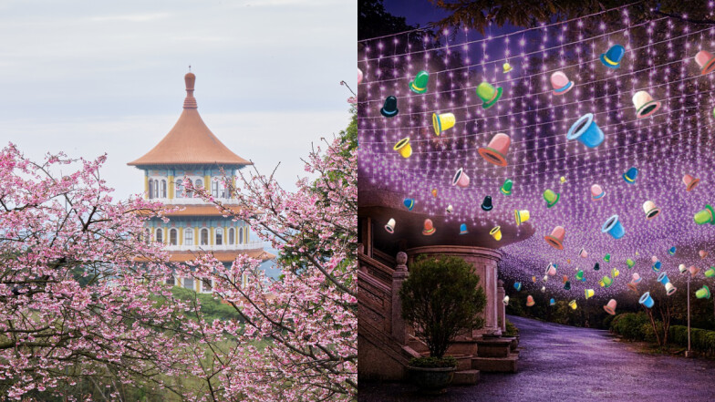 2026賞櫻首站！淡水天元宮「三色櫻」搶先綻放：幾米藝術裝置、夜間點燈光，漫步北台灣最浪漫粉紅森林
