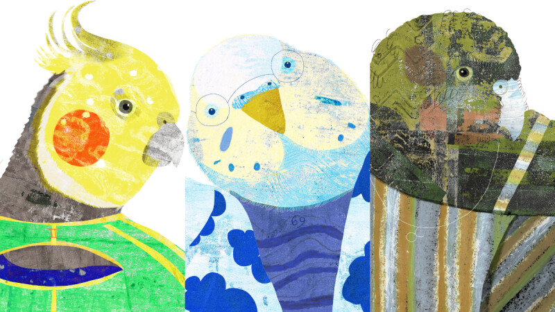 擁有守護者人格的星座排行TOP3！「這個星座」是安全感製造機，在一起容易變得像家人