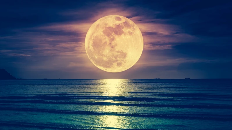 2025最大「超級月亮」11/5登場！6年來最壯觀，最佳觀賞時間、月亮許願法一次看