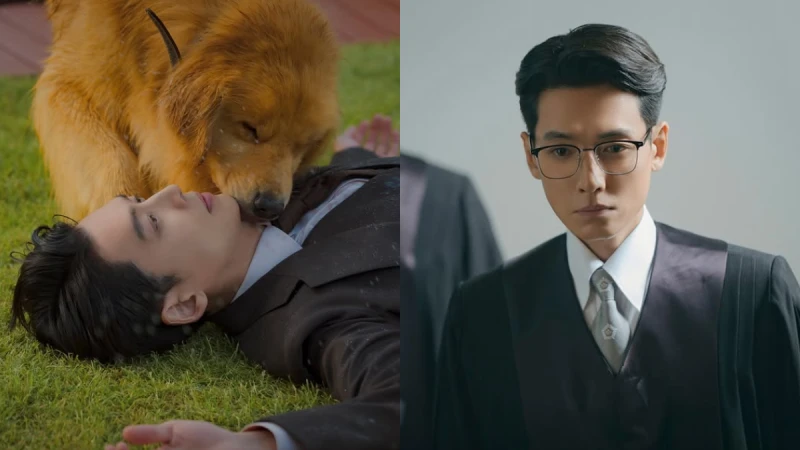 《公益律師》首播評價好看！鄭敬淏+可愛狗狗怎能拒絕？被蘋果箱現金陷害的網紅法官、勢利卻正義的不完美英雄，收視最高破7％