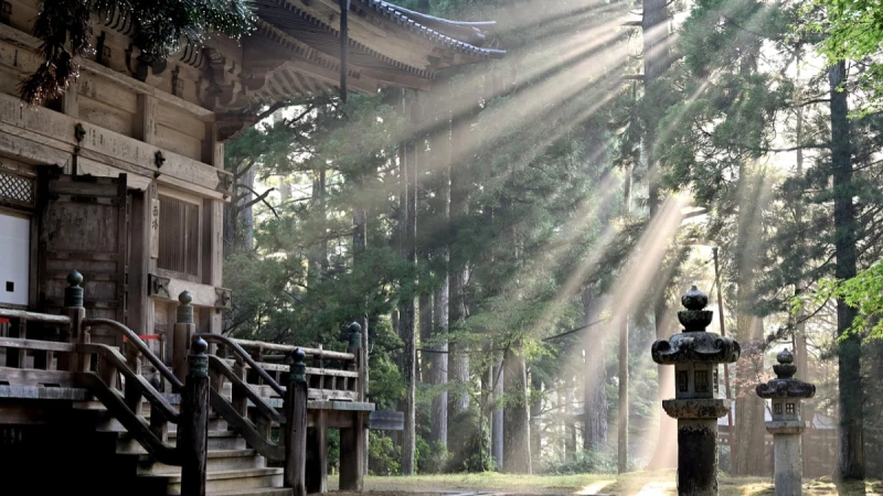 2026年生命流年數分析，看懂你的年度運勢&amp;重塑自己的定位（含線上輸入計算工具）