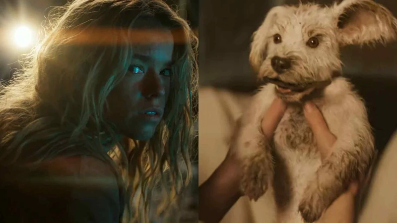 《超少女》電影何時上映？演員Milly Alcock是誰？首支預告曝光