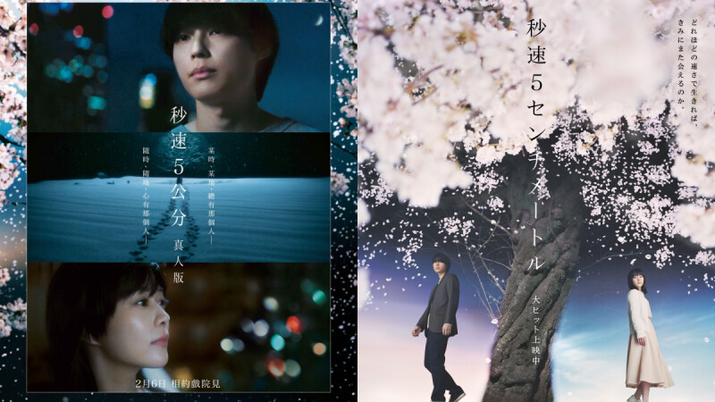 《秒速5公分真人版》電影票房突破23億日幣！10大必看理由：新海誠感動落淚、米津玄師獻唱主題曲