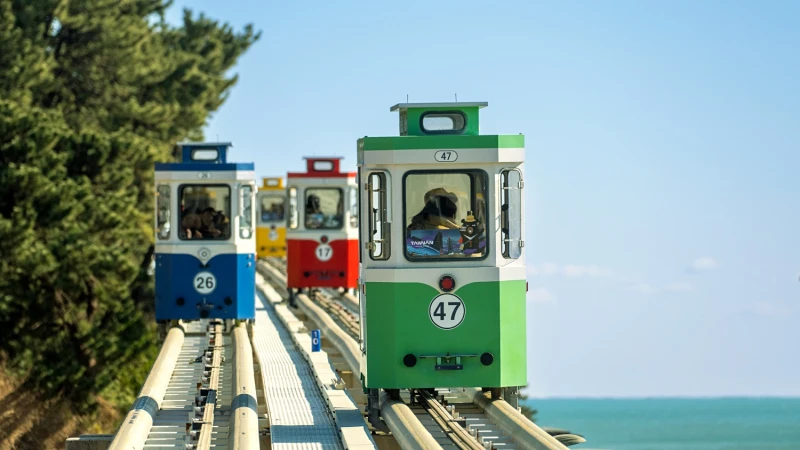 星宇航空進軍韓國！直飛釜山6/1開航，台北台中天天出發，航班表、必去景點全攻略