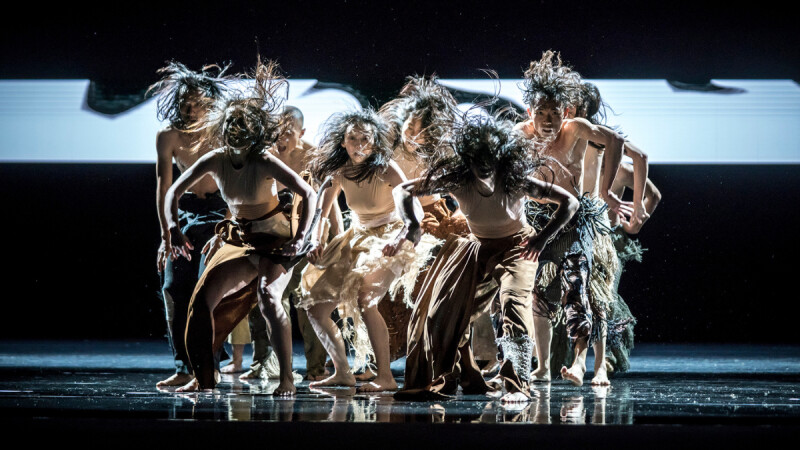 2026雲門舞集年度活動一次看｜《一個藍色的地方》《來》巡演、「春鬥」三種世代的身體提案、首屆夏季舞蹈營